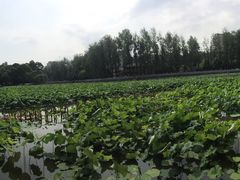 -李氏憨粑粑(文林街店)