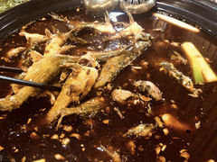 -金海椒罐罐鲢鱼(东方桂苑店)