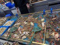 -半岛听涛蒸汽海鲜自助(K11店)
