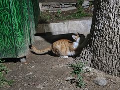 -元大都城垣遗址公园