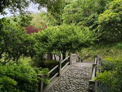 -达蓬山温泉