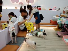 -猪盟咖啡店(玖洲道店)