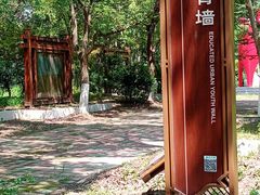 -东平国家森林公园