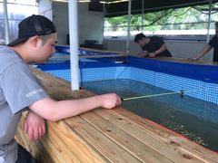 -小象钓虾·营地烧烤(洛溪店)