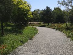 -东郊湿地公园
