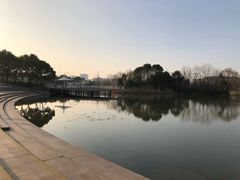 -新江湾城公园