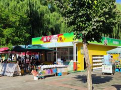 -朝阳公园游乐园