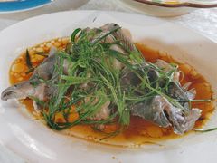 海乌鱼-崖口红树林海鲜餐厅