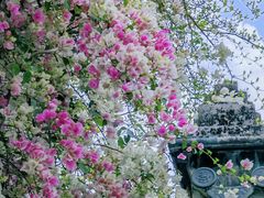 -深圳国际园林花卉博览园