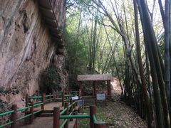 -沧源崖画