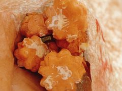 -吴记·吴酥生PASTRY宫廷酥饼