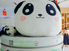 -熊猫邮局(少城店)