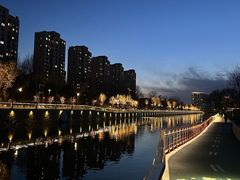 -坝河休闲公园