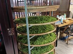 -阿巧茶庄
