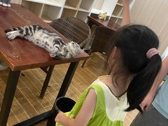 -天目湖涵田度假村