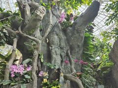 -郑州植物园