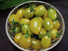青口蜜小番茄-常鲜果园