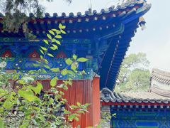 -大觉寺-停车场
