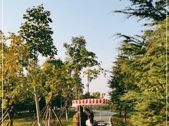 -洨河生态公园