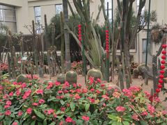 -石家庄市植物园