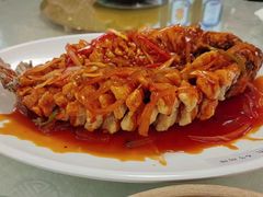 五柳鲩鱼-津津菜馆(绝没分店)