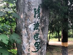 -云岗森林公园