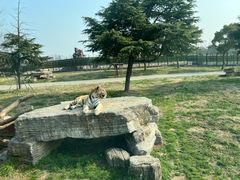 -上海野生动物园