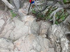 -梧桐山风景名胜区