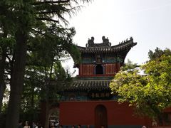 -洛阳白马寺