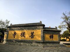 -台儿庄古城