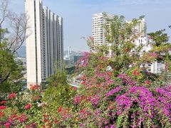 -狐尾山公园