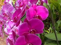 -国家植物园南园