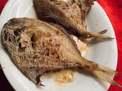 -蛇口康乐快餐鱼仔档(翠苑小区店)