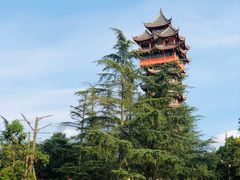 -成都市活水公园