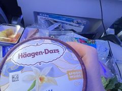 -全日本空输株式会社(上海办事处)