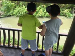 -樂桃源奉贤黄桃种植采摘基地