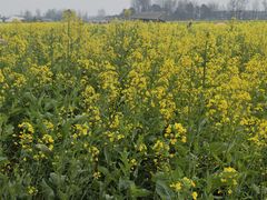 -中国天府农业博览园