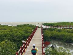 -北海金海湾红树林生态旅游区
