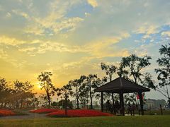 -上海山野camping·户外天幕烧烤·团建拓展营地