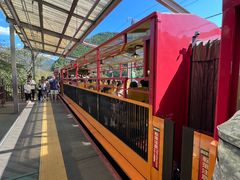 -岚山嵯峨野观光小火车