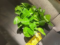 -新紫霞养生·影院足道·SPA(金山区店)