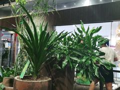 -老客家·客家菜(万达店)