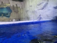 -华夏文旅西安度假区