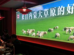 -京悦南门涮羊肉·羊蝎子火锅(田林路店)