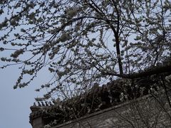 -雍和宫