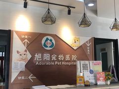 -美联众合宠物医院·爱萌分院·内外科·猫科中心