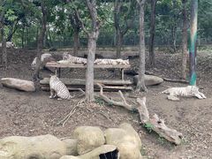 -常州淹城野生动物世界