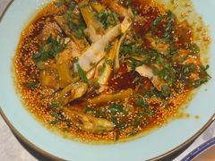 -天辣(金桥啦啦宝都店)