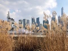 -北外滩滨江绿地