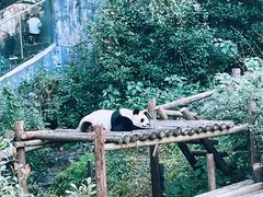 -红山森林动物园
